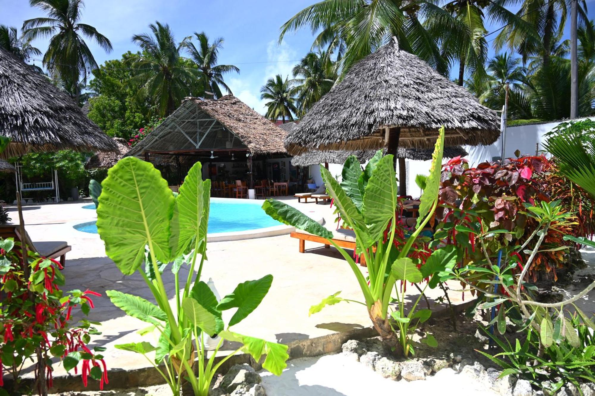 Ananda Villa Zanzibar Bwejuu Luaran gambar